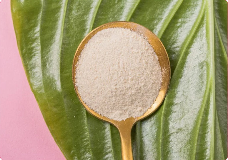 MSM (Metilsulfo-nilmetano)